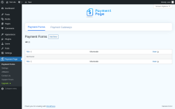 Page screenshot: Payment Page