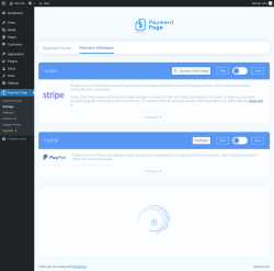 Page screenshot: Payment Page &rarr; Settings