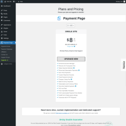 Page screenshot: Payment Page &rarr; Upgrade&nbsp;&nbsp;➤