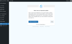 Page screenshot: Payment Page &lsaquo; Test site &mdash; WordPress