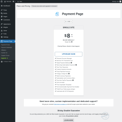 Page screenshot: Payment Page &rarr; Upgrade&nbsp;&nbsp;➤