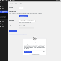 Page screenshot: Payments Square Connect &lsaquo; Test site &mdash; WordPress