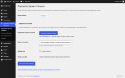Page screenshot: Payments Square Connect