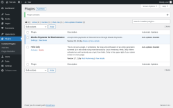 Page screenshot: Plugins &lsaquo; Test site &mdash; WordPress