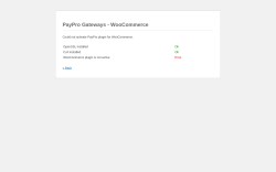 Page screenshot: WordPress &rsaquo; Error