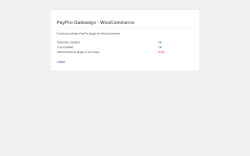 Page screenshot: WordPress &rsaquo; Error