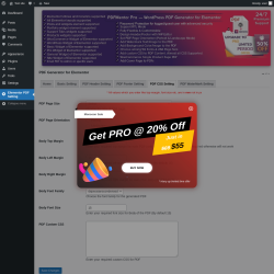 Page screenshot: Elementor PDF Setting → PDF CSS Setting