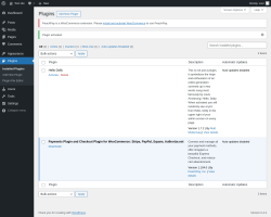 Page screenshot: Plugins &lsaquo; Test site &mdash; WordPress