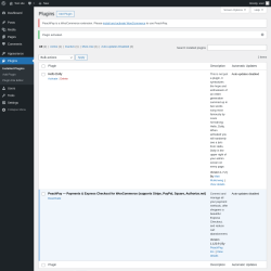 Page screenshot: Plugins &lsaquo; Test site &mdash; WordPress
