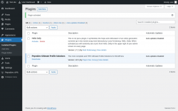 Page screenshot: Plugins &lsaquo; Test site &mdash; WordPress