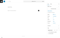 Page screenshot: Add Post ‹ Test site — WordPress