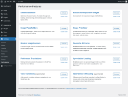 Page screenshot: Settings → Performance