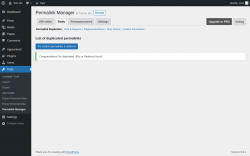 Page screenshot: Tools &rarr; Permalink Manager &rarr; Tools