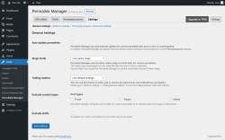 Page screenshot: Tools &rarr; Permalink Manager &rarr; Settings