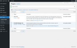 Page screenshot: Plugins &lsaquo; Test site &mdash; WordPress