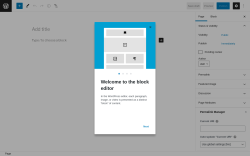 Page screenshot: Add New Page &lsaquo; Test site &mdash; WordPress