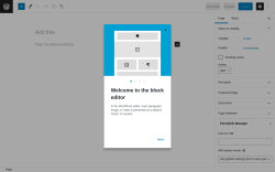 Page screenshot: Add New Page &lsaquo; Test site &mdash; WordPress