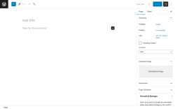 Page screenshot: Add New Page &lsaquo; Test site &mdash; WordPress