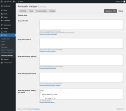 Page screenshot: Tools &rarr; Permalink Manager &rarr; Debug