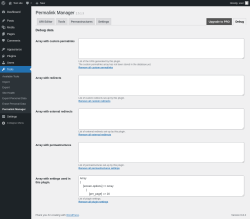 Page screenshot: Tools → Permalink Manager → Debug