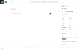 Page screenshot: Add Post &lsaquo; Test site &mdash; WordPress