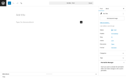 Page screenshot: Add Post &lsaquo; Test site &mdash; WordPress
