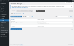 Page screenshot: Tools &rarr; Permalink Manager
