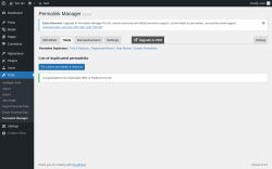 Page screenshot: Tools &rarr; Permalink Manager &rarr; Tools