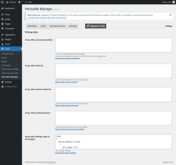 Page screenshot: Tools &rarr; Permalink Manager &rarr; Debug