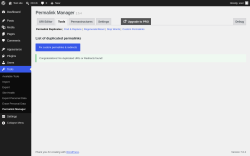 Page screenshot: Tools &rarr; Permalink Manager &rarr; Tools