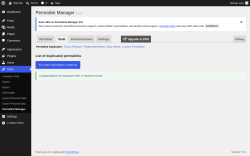 Page screenshot: Tools &rarr; Permalink Manager &rarr; Tools