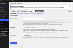 Page screenshot: Tools &rarr; Permalink Manager &rarr; Settings