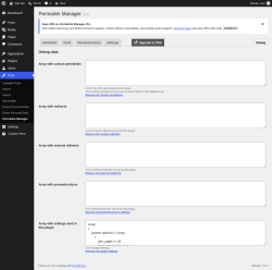Page screenshot: Tools &rarr; Permalink Manager &rarr; Debug