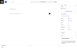 Page screenshot: Add Post &lsaquo; Test site &mdash; WordPress