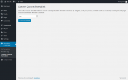 Page screenshot: Permalinks Customizer → Convert Custom Permalink