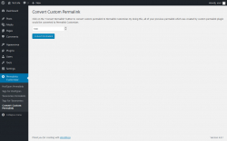 Page screenshot: Permalinks Customizer → Convert Custom Permalink