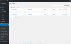 Page screenshot: Permalinks Customizer → Redirects