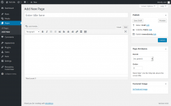 Page screenshot: Add New Page ‹ Test site — WordPress