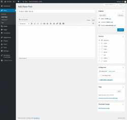 Page screenshot: Add New Post ‹ Test site — WordPress