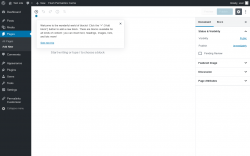 Page screenshot: Add New Page ‹ Test site — WordPress