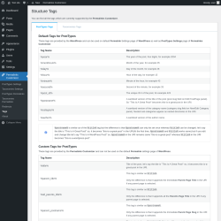 Page screenshot: Permalinks Customizer → Tags