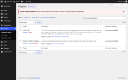 Page screenshot: Plugins &lsaquo; Test site &mdash; WordPress