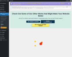 Page screenshot: Simple Business Directory &rarr; Support