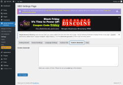 Page screenshot: Simple Business Directory &rarr; Settings &rarr;  Custom Javascript