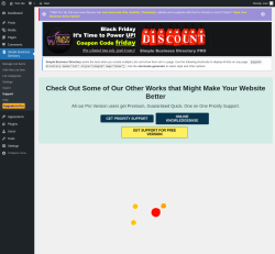Page screenshot: Simple Business Directory &rarr; Support