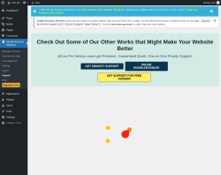 Page screenshot: Simple Business Directory &rarr; Support