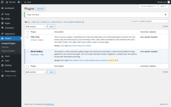 Page screenshot: Plugins &lsaquo; Test site &mdash; WordPress