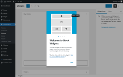 Page screenshot: Widgets &lsaquo; Test site &mdash; WordPress