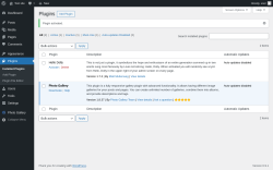 Page screenshot: Plugins &lsaquo; Test site &mdash; WordPress