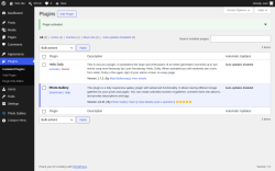 Page screenshot: Plugins &lsaquo; Test site &mdash; WordPress